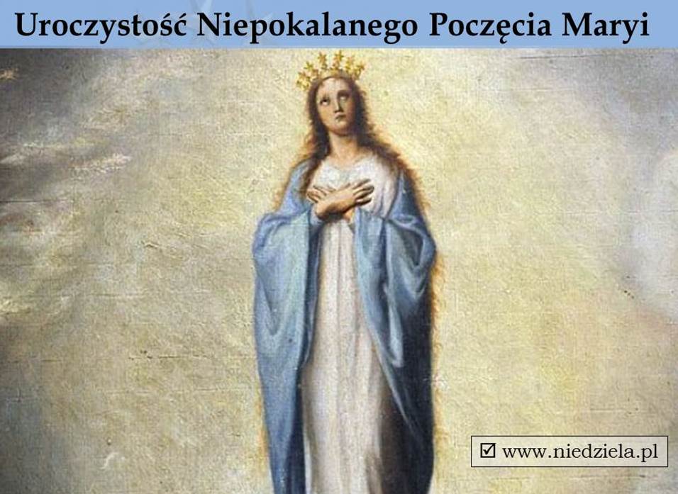 0131-0132 maria immaculata