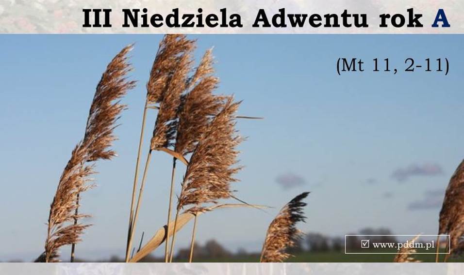 pddm.pl - Uczennic Boskiego Mistrza28