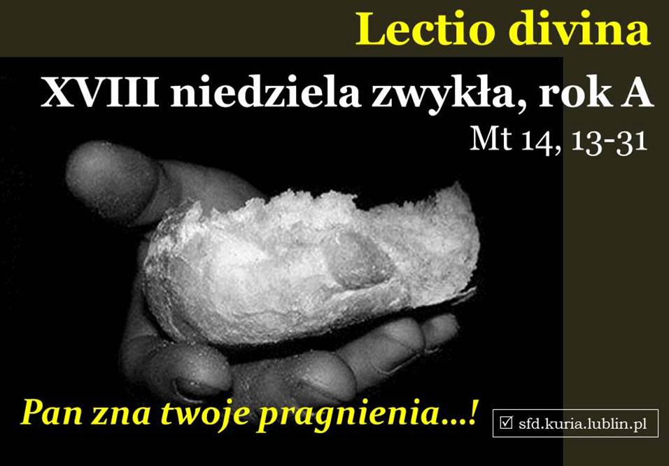 sfd.kuria.lublin59