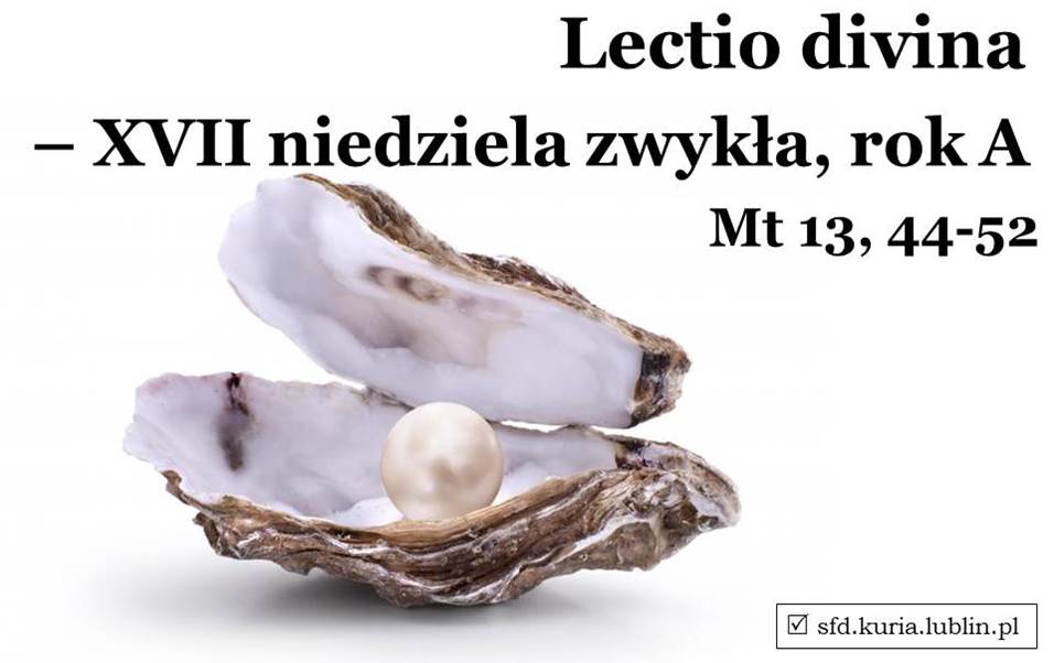sfd.kuria.lublin60