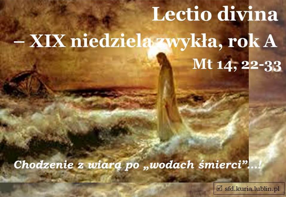 sfd.kuria.lublin61