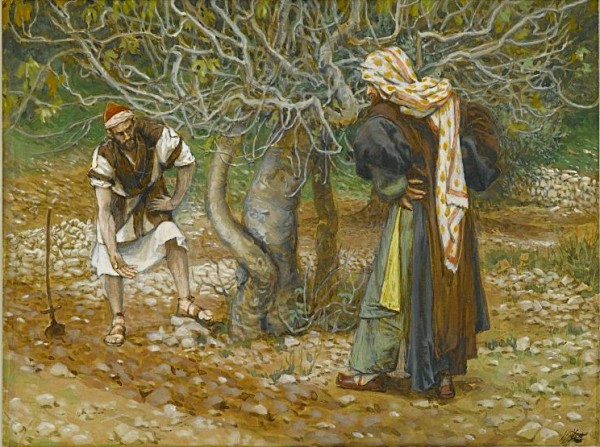 przypowieść-o-drzewie-figowym-600x447