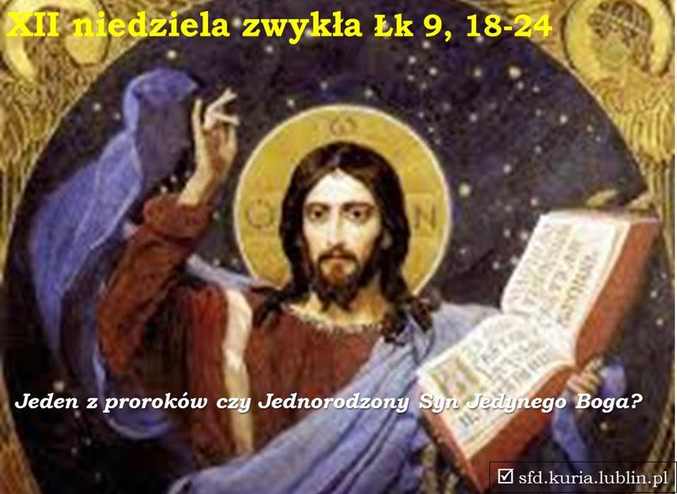 sfd.kuria.lublin6