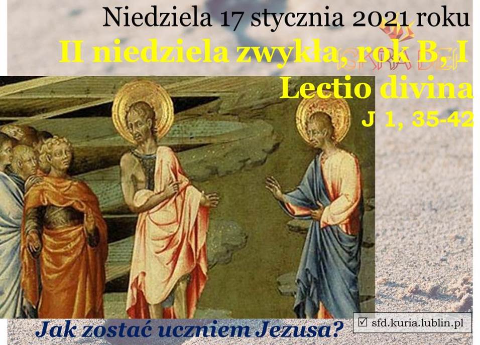 sfd.kuria.lublin83